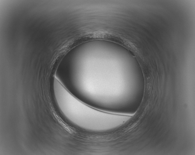 X0000052550589200507010847
