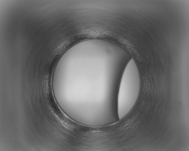 X0000052550590200507010847