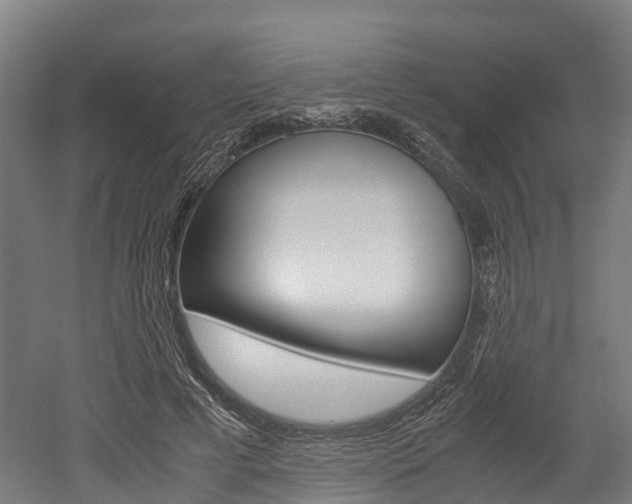 X0000052550593200507010847