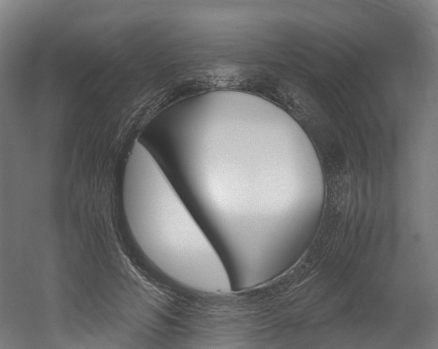 X0000052550594200507010847