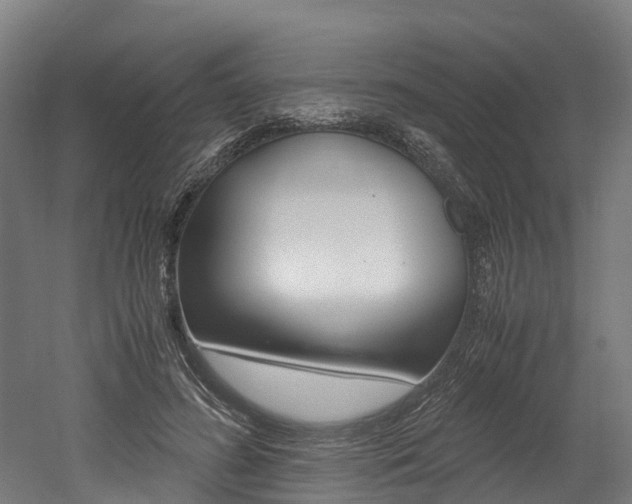 X0000052550596200507010847