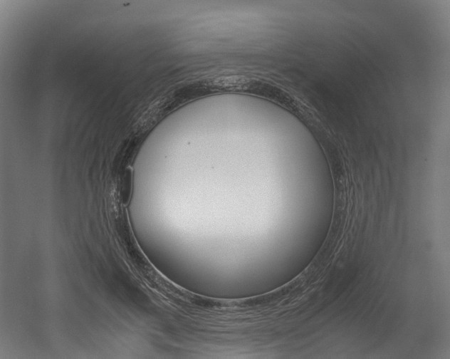 X0000052550597200507010847