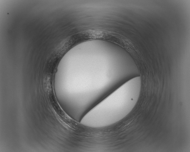X0000052550598200507010847