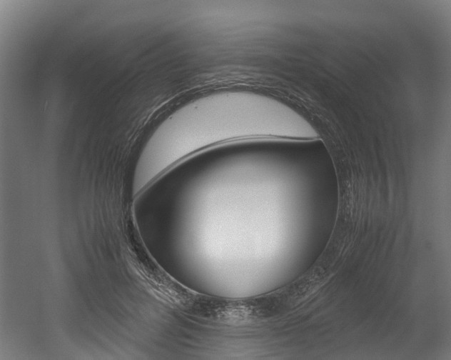 X0000052550600200507010847
