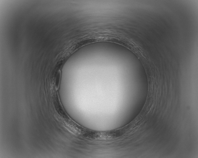 X0000052550601200507010847