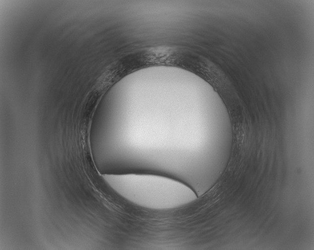X0000052550602200507010847