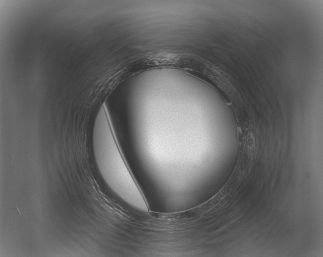 X0000052550604200507010847