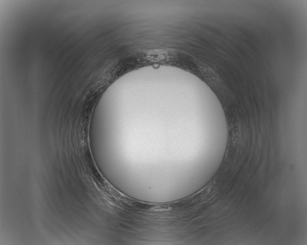 X0000052550606200507010847