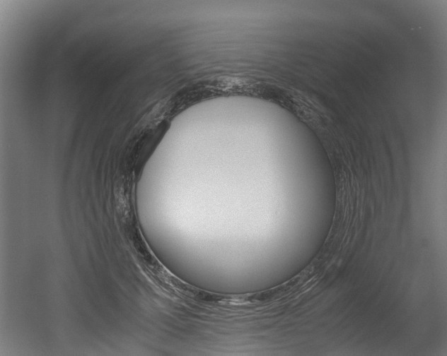 X0000052550607200507010847