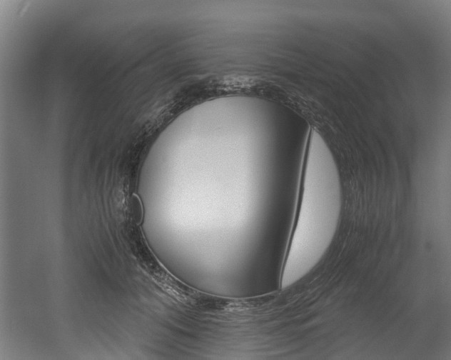 X0000052550608200507010847