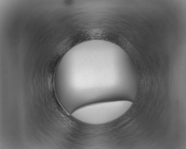 X0000052550610200507010847