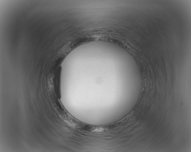 X0000052550611200507010847