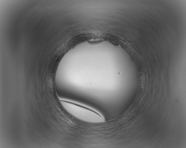 X0000052550613200507010847