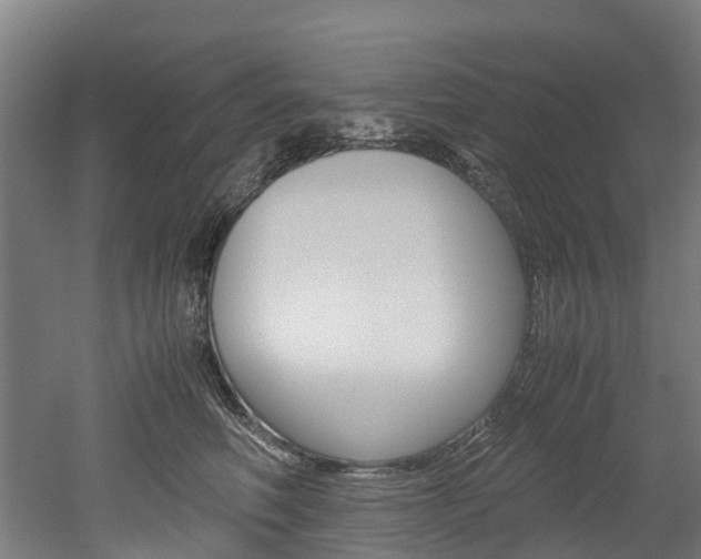 X0000052550614200507010847