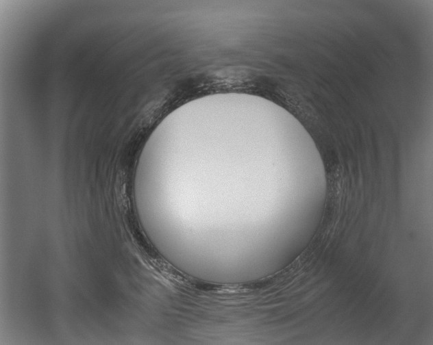 X0000052550615200507010847