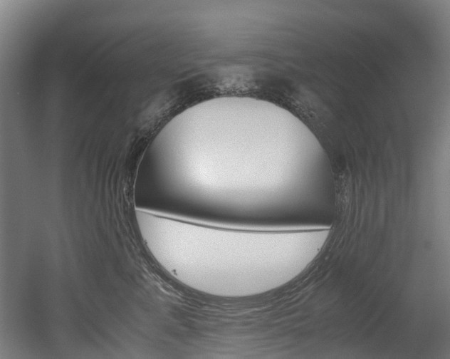 X0000052550619200507010847