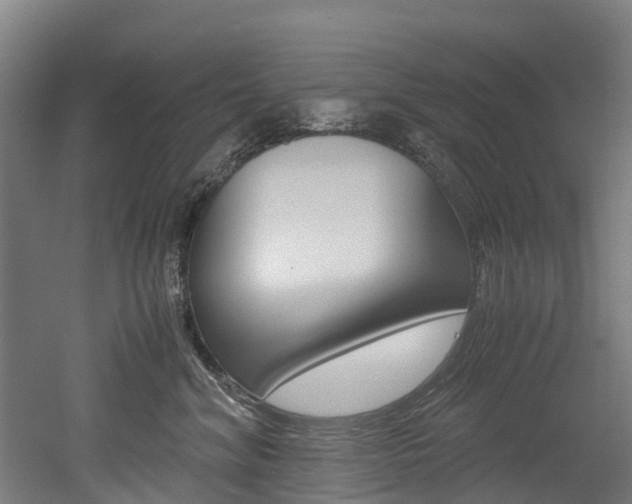 X0000052550620200507010847