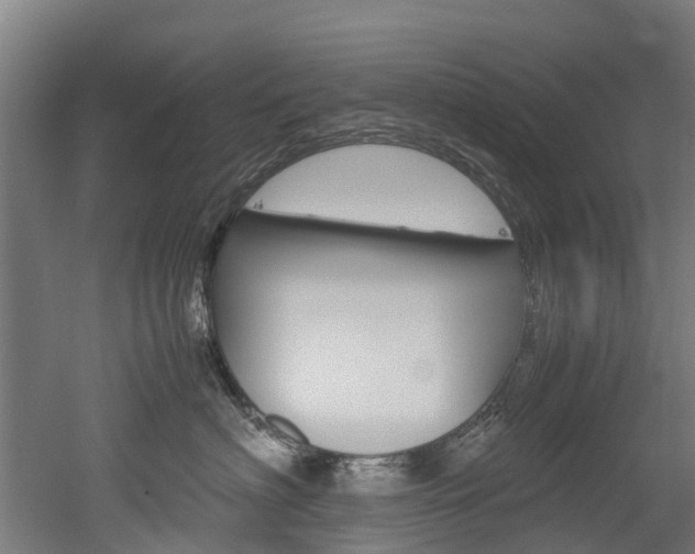 X0000052550622200507010846
