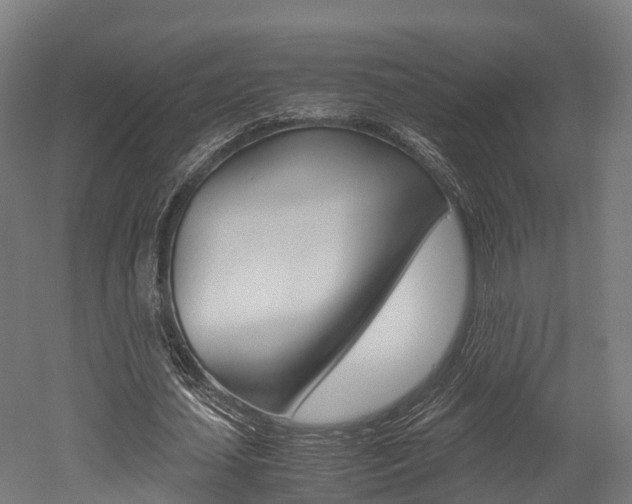 X0000052550627200507010846