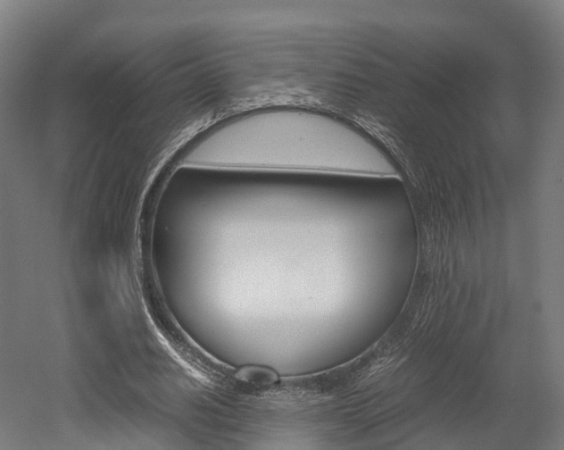 X0000052550630200507010846