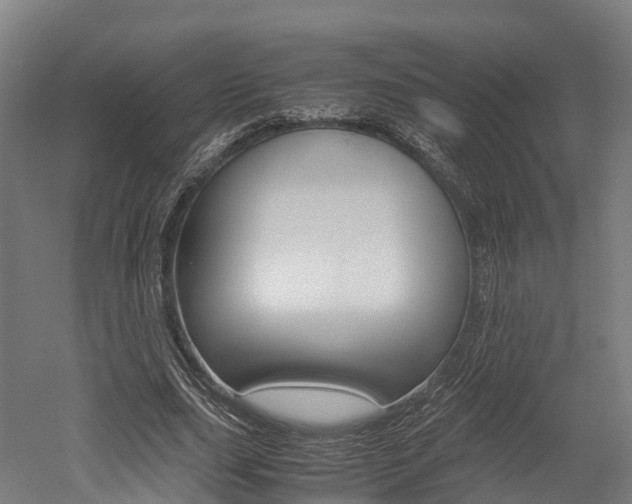 X0000052550631200507010846