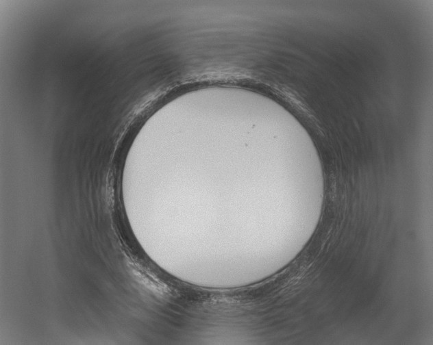 X0000052550632200507010846