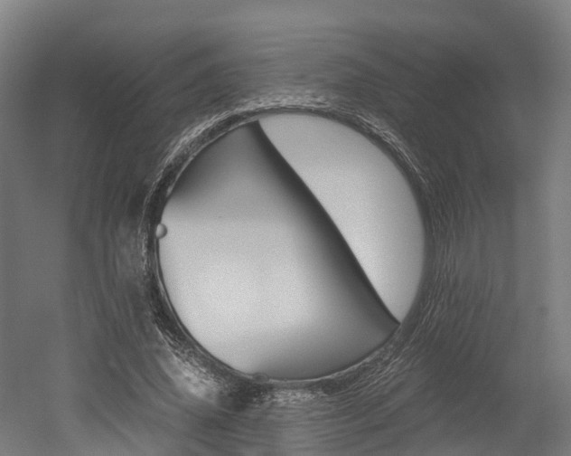 X0000052550636200507010846