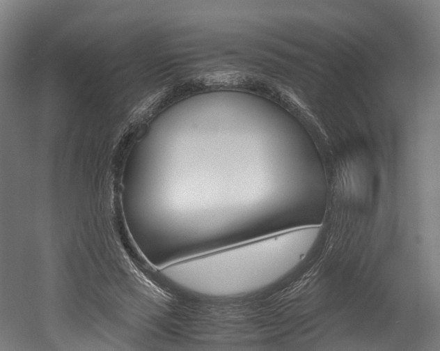 X0000052550637200507010846