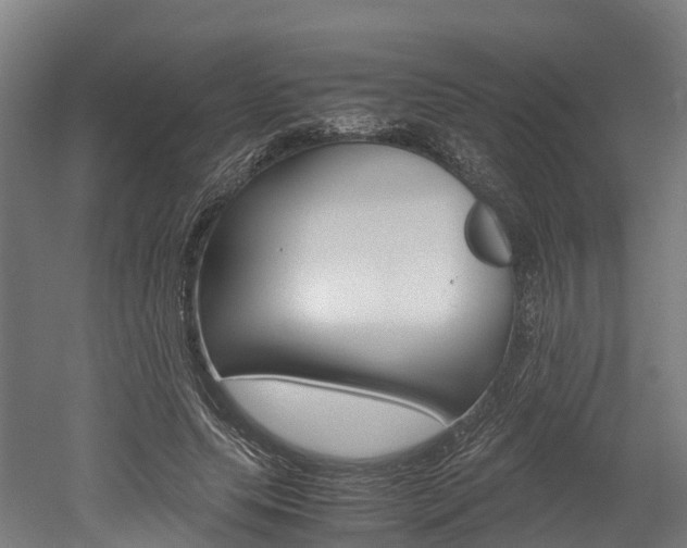 X0000052550639200507010846