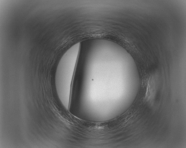X0000052550647200507010846