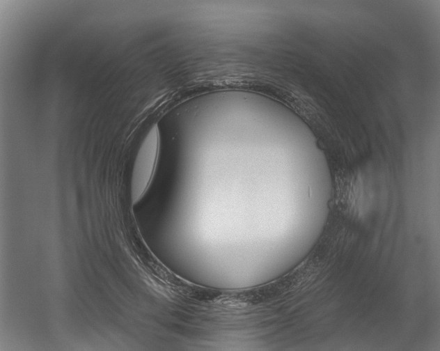 X0000052550648200507010846