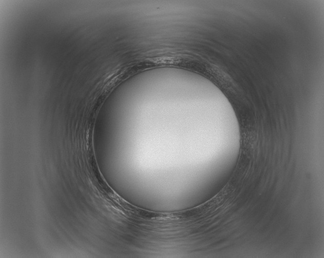X0000052550652200507010846