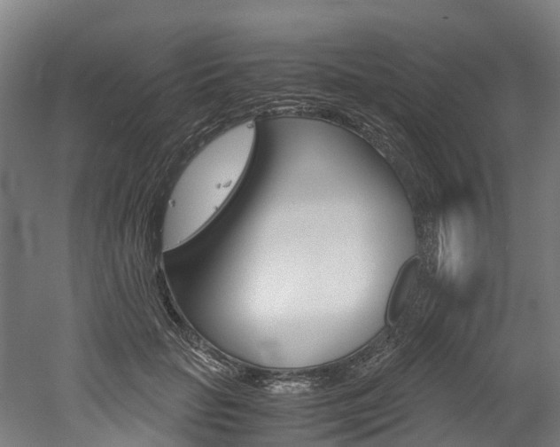 X0000052550653200507010846