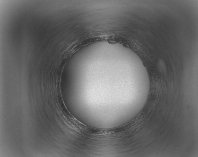 X0000052550656200507010846