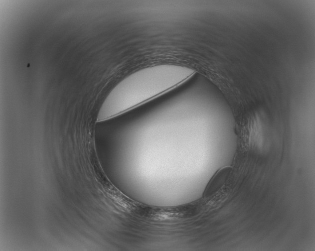 X0000052550657200507010846