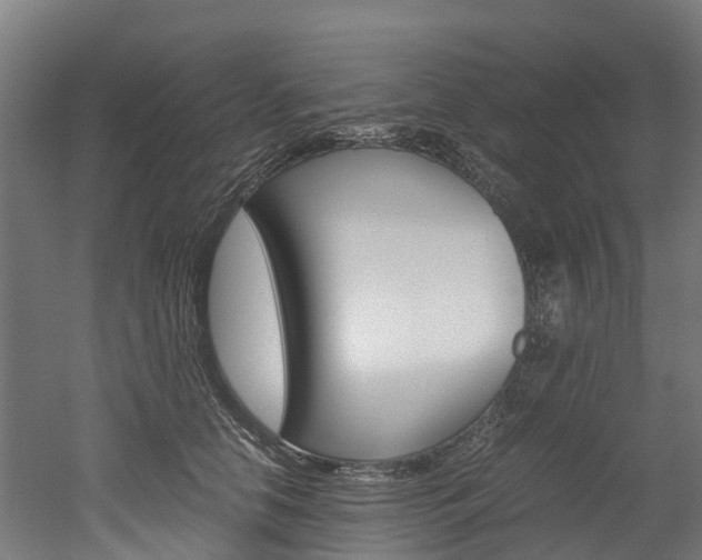 X0000052550658200507010846