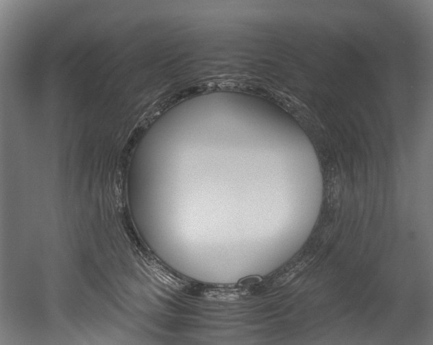 X0000052550661200507010846