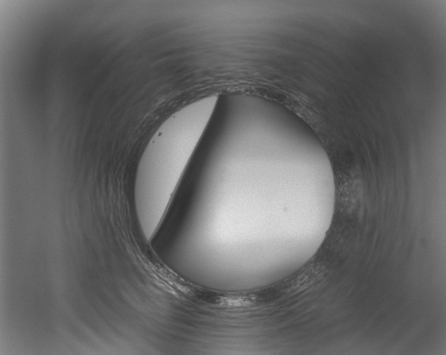 X0000052550662200507010846