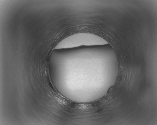 X0000052550663200507010846