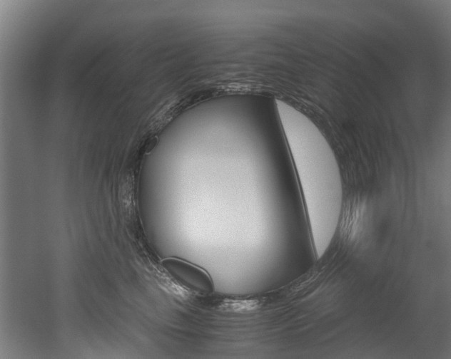 X0000052550665200507010846