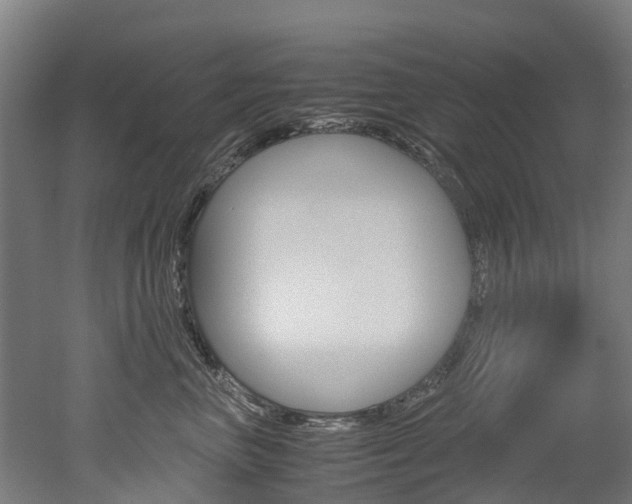 X0000052550667200507010846