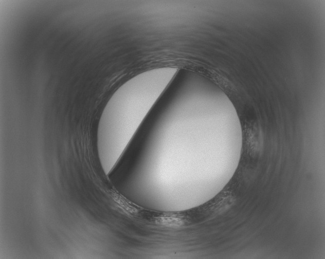 X0000052550668200507010846