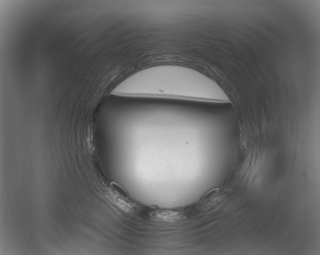 X0000052550669200507010846