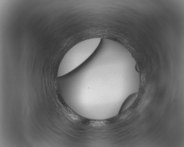 X0000052550671200507010846