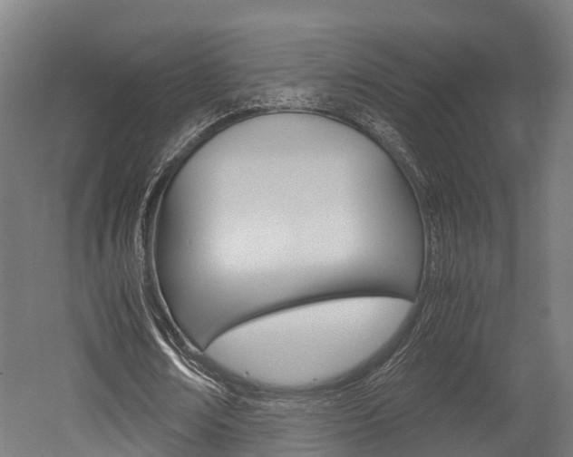 X0000052550674200507010846