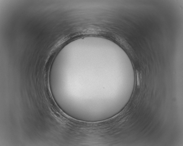 X0000052550675200507010846