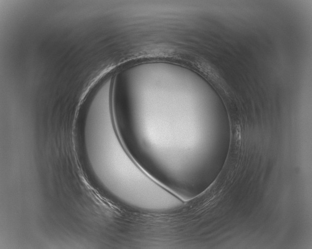 X0000052550676200507010846