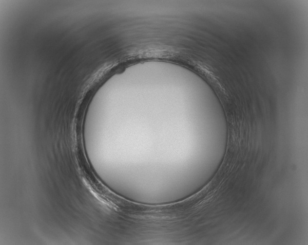X0000052550678200507010846