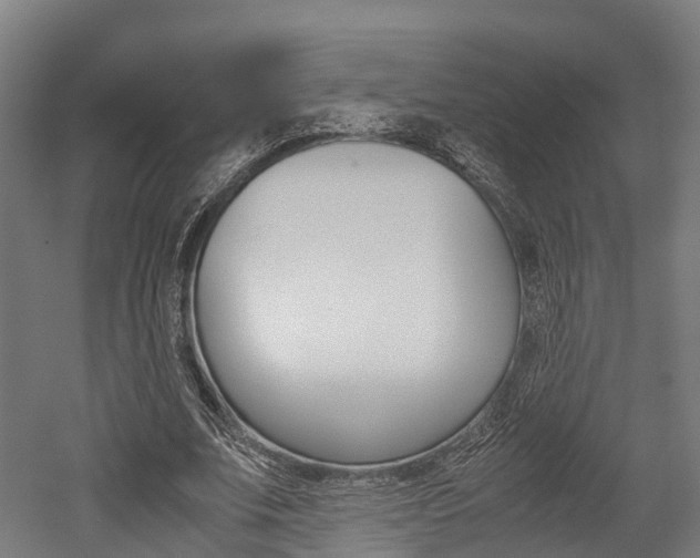 X0000052550679200507010846