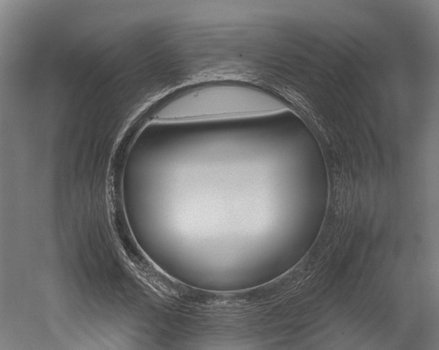X0000052550680200507010846